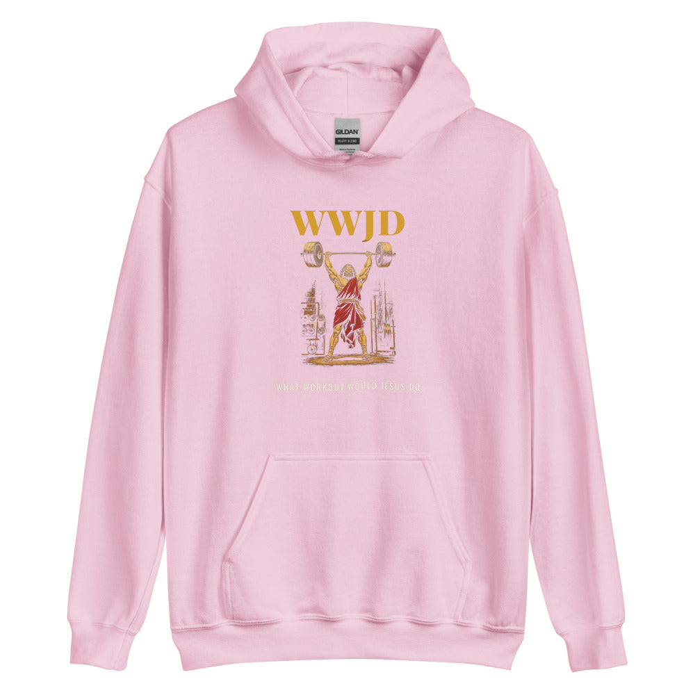 Hoodie in Light Pink flat