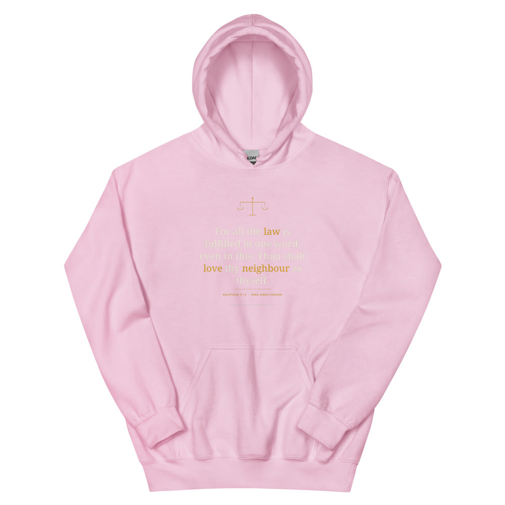 Hoodie in Light Pink flat