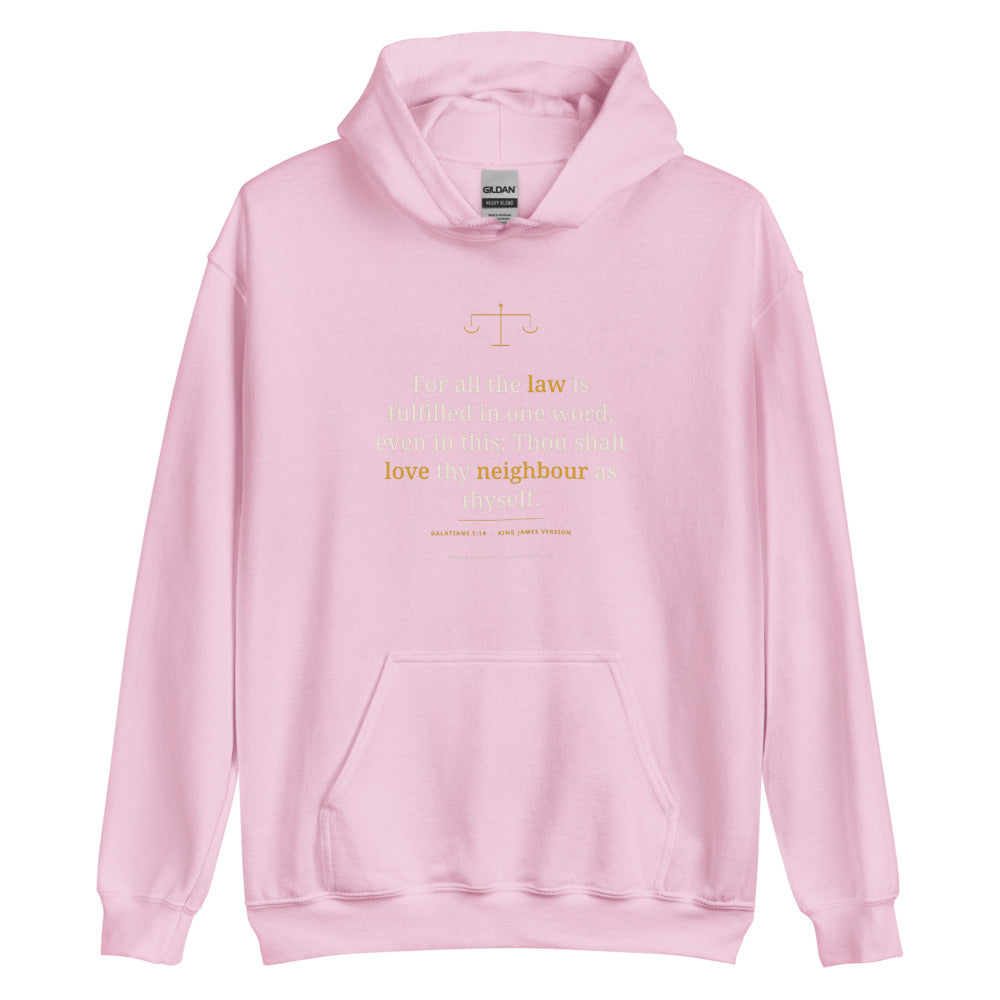 Hoodie in Light Pink flat