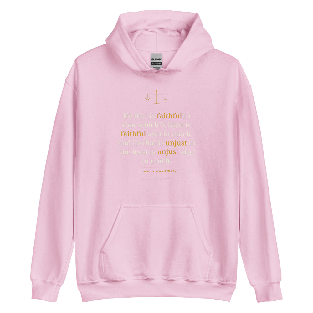 Hoodie in Light Pink flat