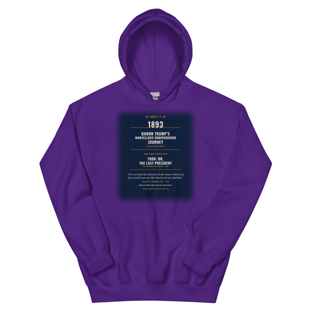 Hoodie in Purple flat