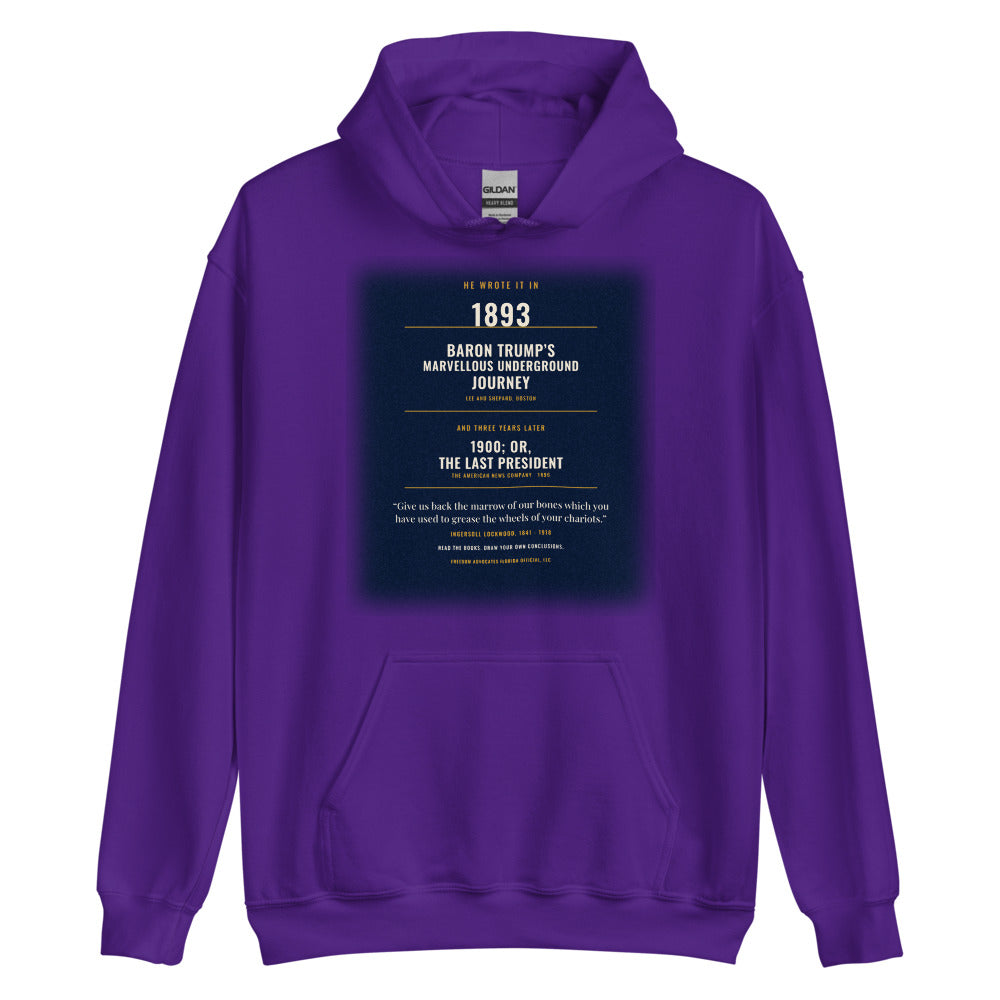 Hoodie in Purple flat