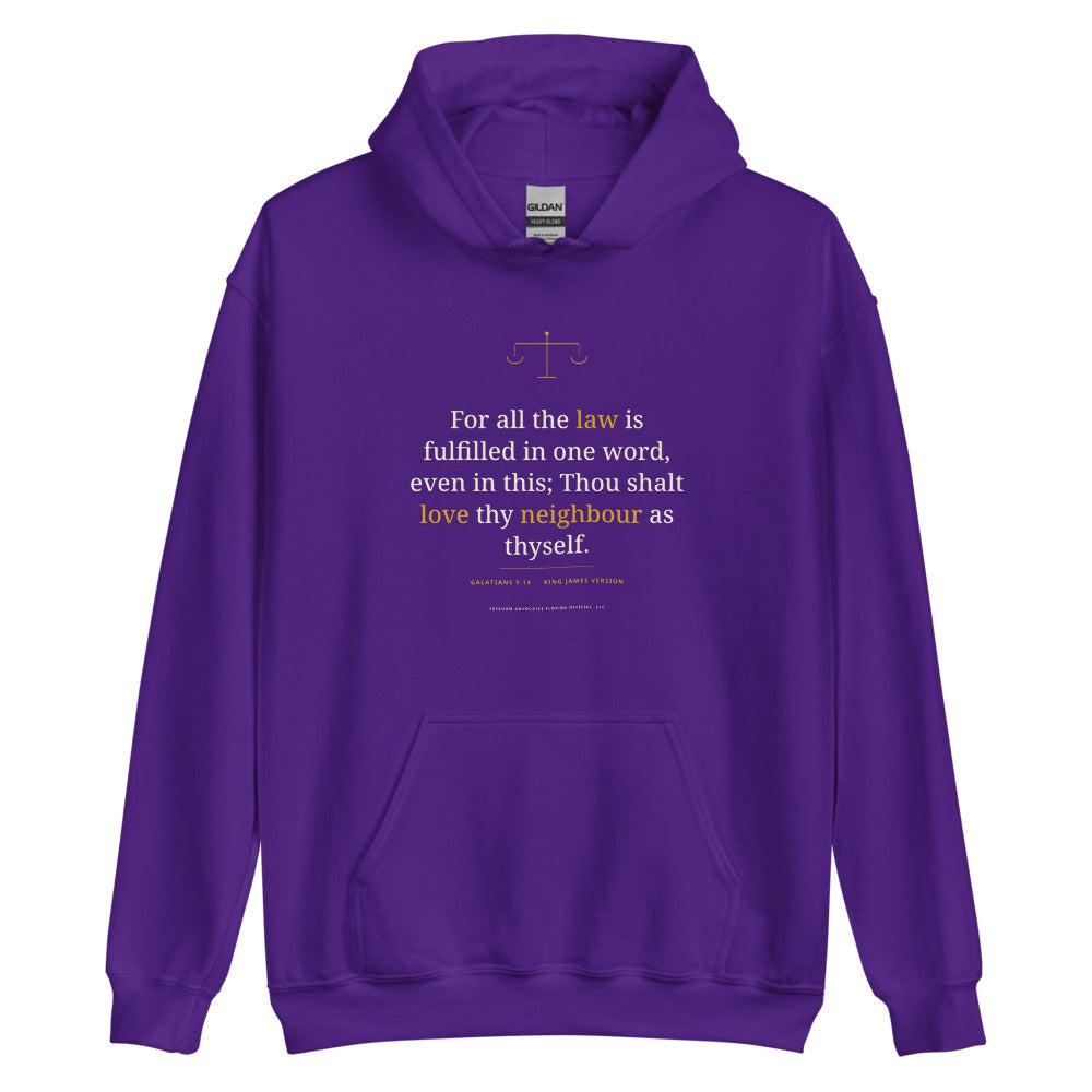 Hoodie in Purple flat