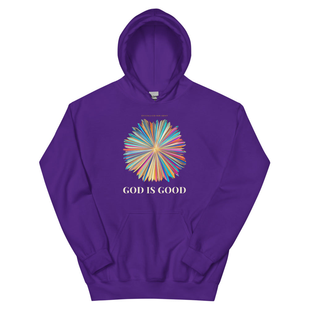 Hoodie in Purple flat