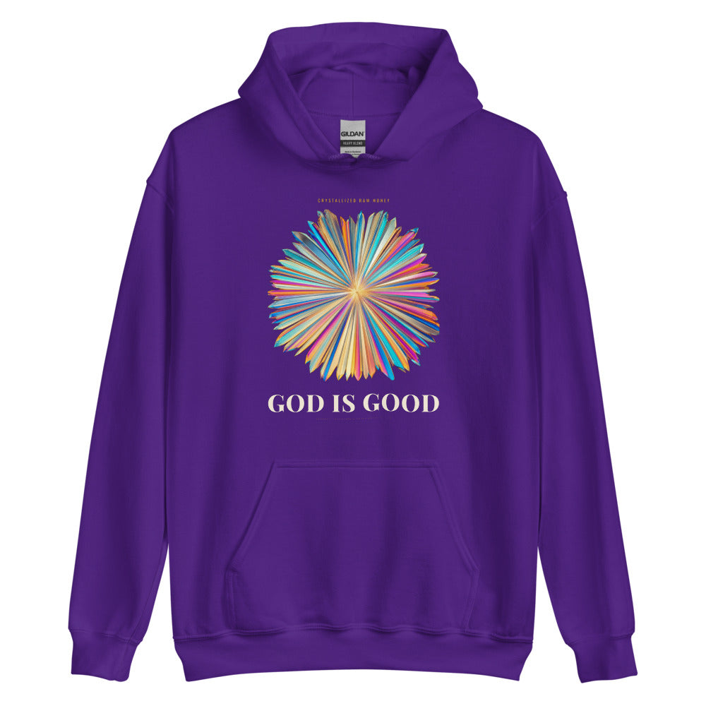 Hoodie in Purple flat