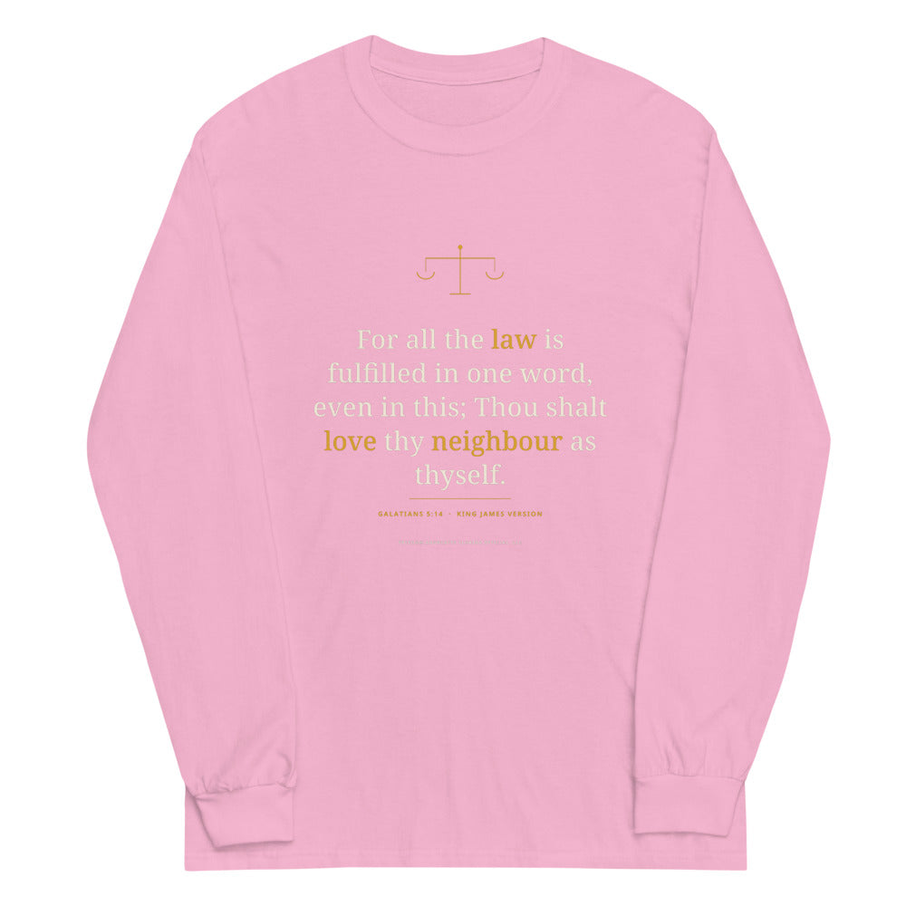 Long Sleeve Tee in Light Pink flat